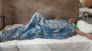 দৌলতখানে জমিজমা বিরোধের জেরে নারীকে বেধড়ক মারধর